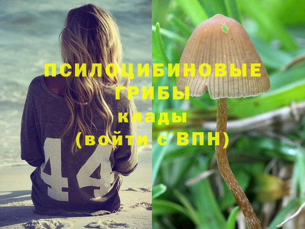 бошки Сатка