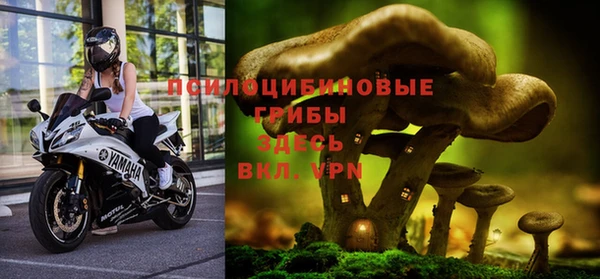 герыч Алзамай