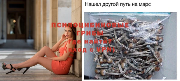 индика Алексеевка