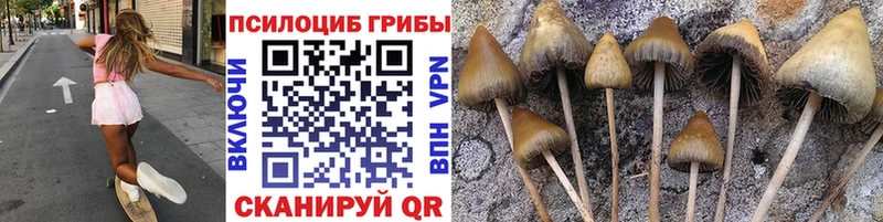 Галлюциногенные грибы ЛСД  Купить где  Володарск 