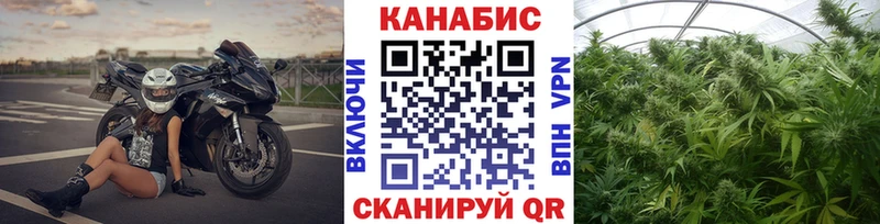 Купить Володарск Бошки марихуана White Widow